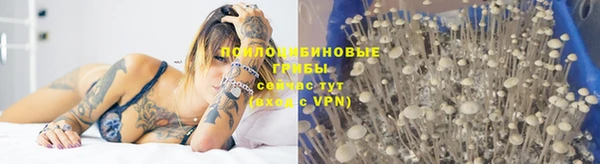 хмурый Алексеевка