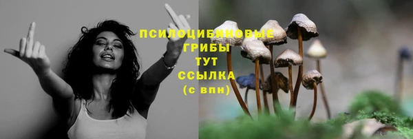 кокаин колумбия Алзамай
